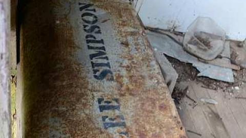 holy wood ticks - e-DSC_5547a.jpg