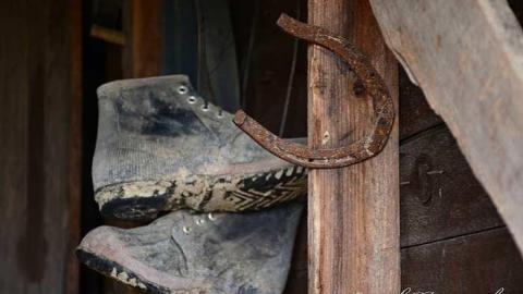 holy wood ticks - h-DSC_5549a.jpg