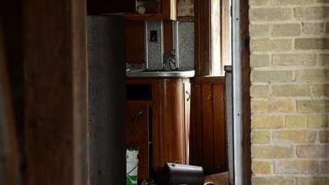 holy wood ticks - q-DSC_5550a.jpg