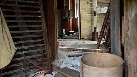 holy wood ticks - d-DSC_5552.jpg