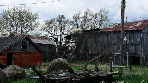 holy wood ticks - m-DSC_5558a.jpg