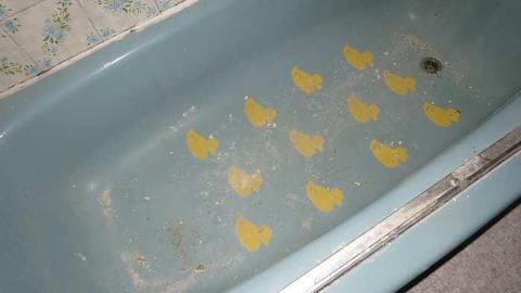 Soaring Bird - Empty-House10.jpg