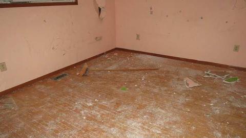 Soaring Bird - Empty-House11.jpg