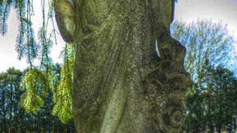 Photo from A Closer Look