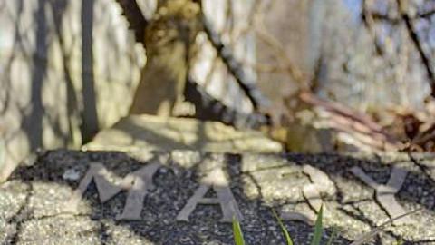 A Closer Look - St.-Clements-Pioneer-Cemetery61.jpg