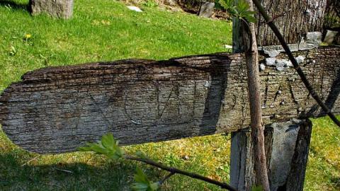 Photo from A Closer Look