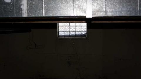 Photo from Cat Lady House