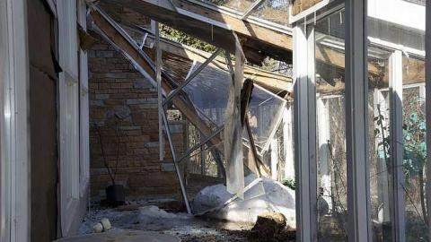 Photo from Cat Lady House