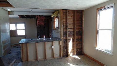 only the bees live here - 001.jpg