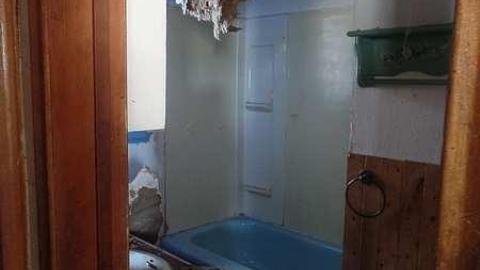 only the bees live here - 003.jpg