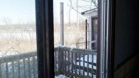 only the bees live here - 008.jpg