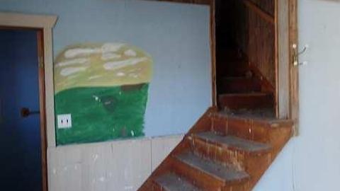 only the bees live here - 009.jpg