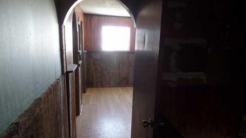 only the bees live here - 011.jpg