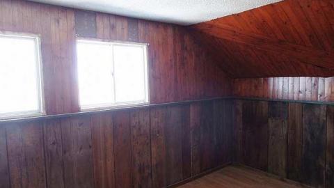 only the bees live here - 013.jpg