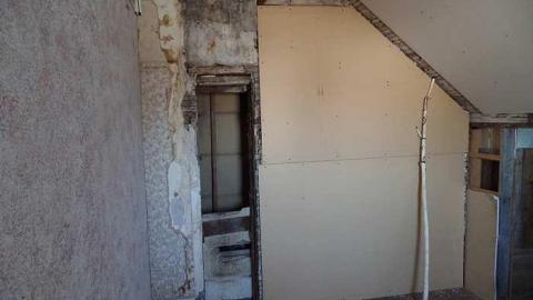 Unwanted Visitor in Mulgrave photo 4