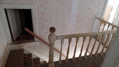 only the bees live here - 017.jpg