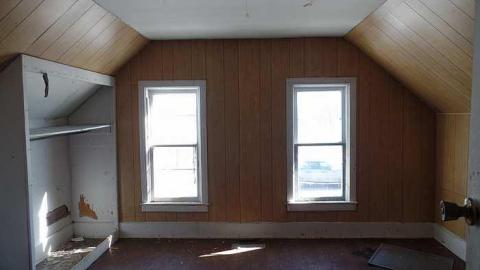 Unwanted Visitor in Mulgrave photo 3