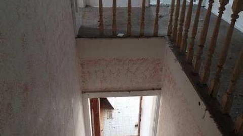 Unwanted Visitor in Mulgrave photo 2