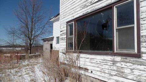 only the bees live here - 028.jpg