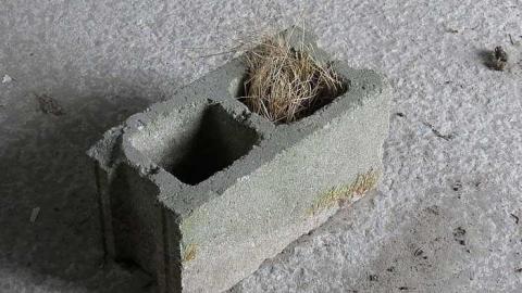 2500 Gallons - Shed-and-Stable15.jpg