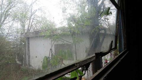 Shed and Stable photo 5