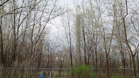 Shed and Stable photo 4