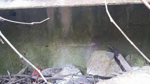 CanadaPortland - Canada-Portland-Cement-Company4.jpg