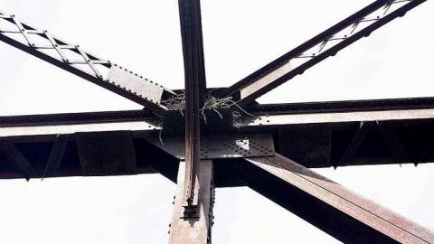 April 2016 - Carp-River-Railway-Bridge11.jpg