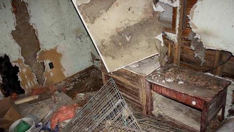 April 2016 - 16Apr-16C 308.jpg