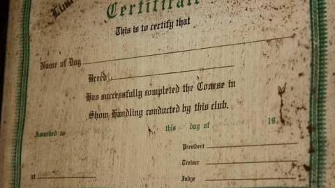 April 2016 - 16Apr-16C 315.jpg