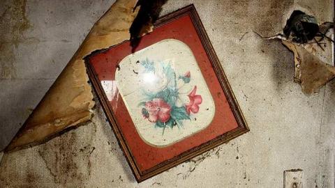 April 2016 - 16Apr-16C 317.jpg