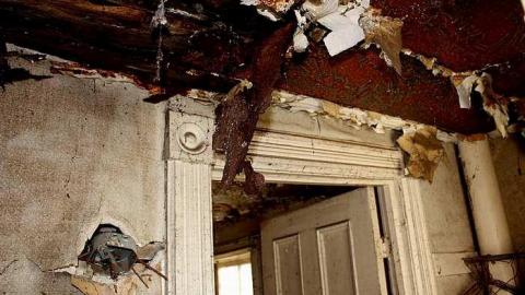 April 2016 - 16Apr-16C 318.jpg