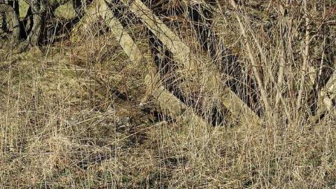 April 2016 - 16Apr-16N 119.jpg