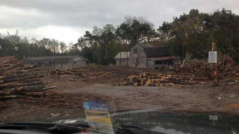 Photo from lumber jacked