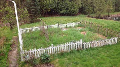 lumber jacked - 407-extension-leskard27.jpg