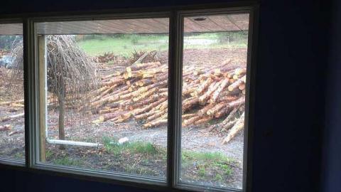 lumber jacked - 407-extension-leskard39.jpg