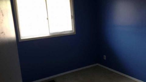 Photo from lumber jacked