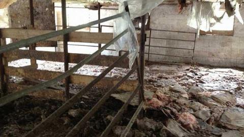 whitby silo farm - IMG_1983.jpg