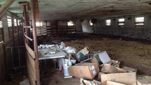 whitby silo farm - IMG_1984.jpg