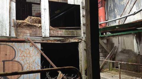 whitby silo farm - IMG_1986.jpg