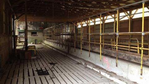 whitby silo farm - IMG_1989.jpg