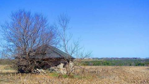 cute - Stone-Something28.jpg