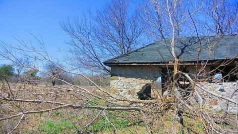 cute - Stone-Something29.jpg