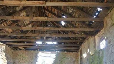 cute - Stone-Something20.jpg