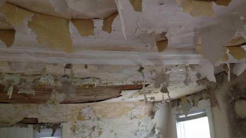 Photo from more whitevale rd pics