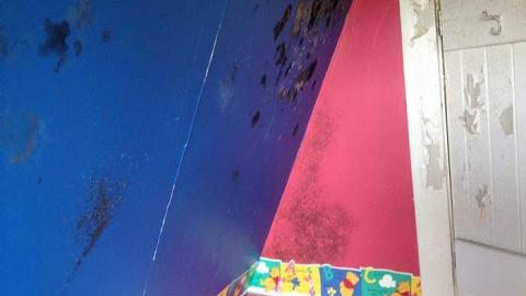 Photo from more whitevale rd pics