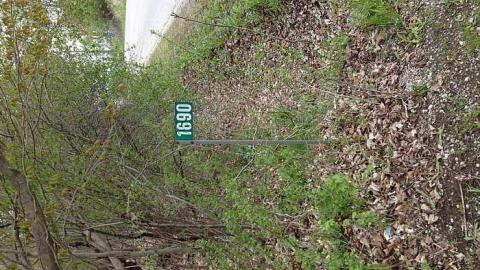 more whitevale rd pics - IMG_2004.jpg