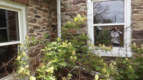 more whitevale rd pics - IMG_2007.jpg