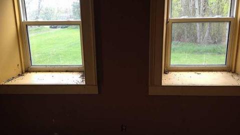 more whitevale rd pics - eiwqwIMG_2018.jpg