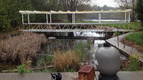 locked up - Pammett-Drug-House131.jpg